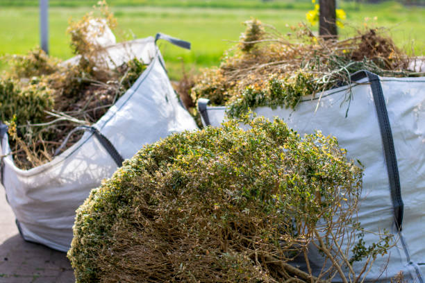 Trusted Caon City, CO Junk Removal Experts
